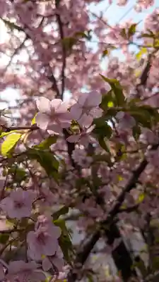 後白河院御聖蹟　法住寺(京都府)