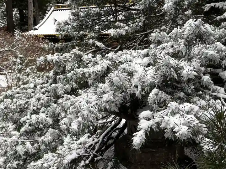 日光山輪王寺 大猷院(栃木県)