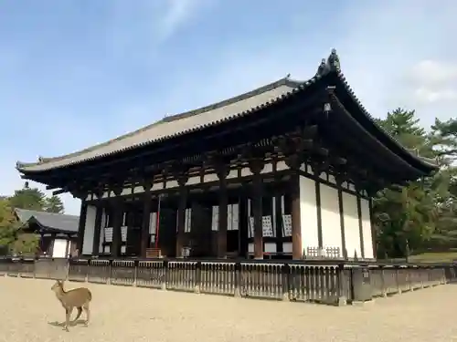 興福寺の本殿・本堂