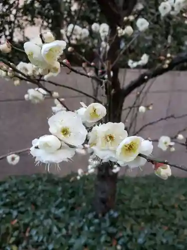 銀世界稲荷神社の自然
