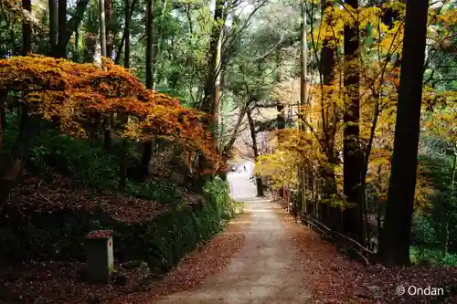 圓教寺(兵庫県)