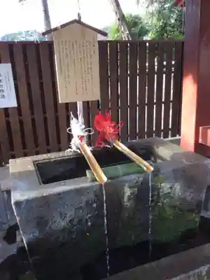 伊豆山神社の手水舎