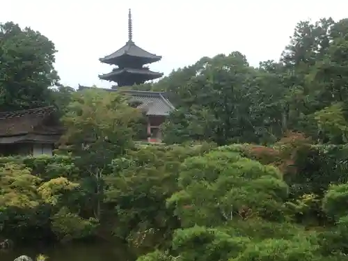 仁和寺の庭園