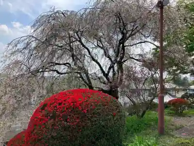 宗泉寺の{uncategorized: "未分類", other: "その他", undefined: "問題あり", building: "その他建物", grave: "お墓", sacred_gate: "鳥居", guardian: "狛犬", statue: "像", buddha: "仏像", history: "歴史", nature: "自然", garden: "庭園", animal: "動物", pagoda: "塔", temizu: "手水舎", mountain_gate: "山門・神門", sanctuary: "本殿・本堂", subordinate: "末社・摂社", art: "芸術", scenery: "景色", jizo: "地蔵", ema: "絵馬", goshuin: "御朱印", omikuji: "おみくじ", items: "授与品その他", amulet: "お守り", goshuincho: "御朱印帳", eats: "食事", festival: "お祭り", votive_dance: "神楽", shichigosan: "七五三参", wedding: "結婚式", experience: "体験その他", initially: "初詣", around: "周辺", anti_infection: "感染症対策"}