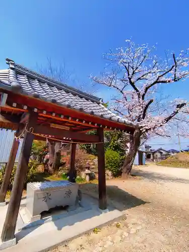 神明神社（大留町5）の手水舎