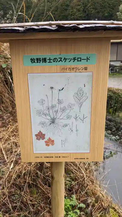金峰神社の芸術