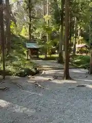 小國神社(静岡県)