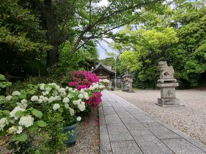 八柱神社(荒尾)の{uncategorized: "未分類", other: "その他", undefined: "問題あり", building: "その他建物", grave: "お墓", sacred_gate: "鳥居", guardian: "狛犬", statue: "像", buddha: "仏像", history: "歴史", nature: "自然", garden: "庭園", animal: "動物", pagoda: "塔", temizu: "手水舎", mountain_gate: "山門・神門", sanctuary: "本殿・本堂", subordinate: "末社・摂社", art: "芸術", scenery: "景色", jizo: "地蔵", ema: "絵馬", goshuin: "御朱印", omikuji: "おみくじ", items: "授与品その他", amulet: "お守り", goshuincho: "御朱印帳", eats: "食事", festival: "お祭り", votive_dance: "神楽", shichigosan: "七五三参", wedding: "結婚式", experience: "体験その他", initially: "初詣", around: "周辺", anti_infection: "感染症対策"}