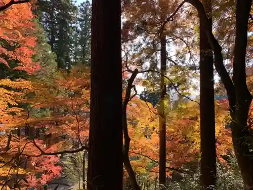 岡太神社の自然