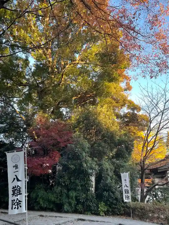 阿佐ヶ谷神明宮(東京都)