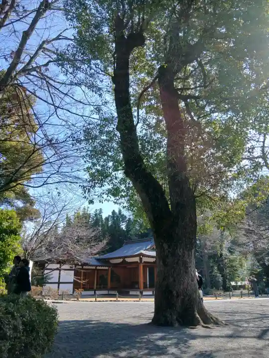 阿佐ヶ谷神明宮の{uncategorized: "未分類", other: "その他", undefined: "問題あり", building: "その他建物", grave: "お墓", sacred_gate: "鳥居", guardian: "狛犬", statue: "像", buddha: "仏像", history: "歴史", nature: "自然", garden: "庭園", animal: "動物", pagoda: "塔", temizu: "手水舎", mountain_gate: "山門・神門", sanctuary: "本殿・本堂", subordinate: "末社・摂社", art: "芸術", scenery: "景色", jizo: "地蔵", ema: "絵馬", goshuin: "御朱印", omikuji: "おみくじ", items: "授与品その他", amulet: "お守り", goshuincho: "御朱印帳", eats: "食事", festival: "お祭り", votive_dance: "神楽", shichigosan: "七五三参", wedding: "結婚式", experience: "体験その他", initially: "初詣", around: "周辺", anti_infection: "感染症対策"}