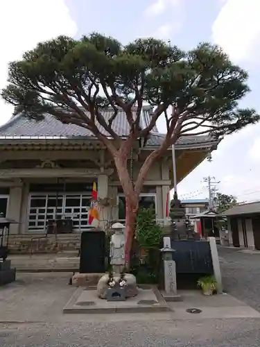 廣徳寺のその他建物