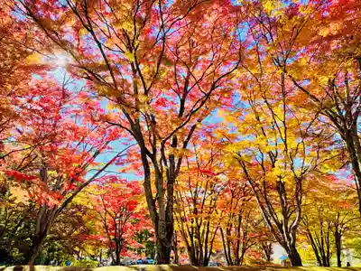 土津神社｜こどもと出世の神さま(福島県)