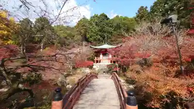 醍醐寺の{uncategorized: "未分類", other: "その他", undefined: "問題あり", building: "その他建物", grave: "お墓", sacred_gate: "鳥居", guardian: "狛犬", statue: "像", buddha: "仏像", history: "歴史", nature: "自然", garden: "庭園", animal: "動物", pagoda: "塔", temizu: "手水舎", mountain_gate: "山門・神門", sanctuary: "本殿・本堂", subordinate: "末社・摂社", art: "芸術", scenery: "景色", jizo: "地蔵", ema: "絵馬", goshuin: "御朱印", omikuji: "おみくじ", items: "授与品その他", amulet: "お守り", goshuincho: "御朱印帳", eats: "食事", festival: "お祭り", votive_dance: "神楽", shichigosan: "七五三参", wedding: "結婚式", experience: "体験その他", initially: "初詣", around: "周辺", anti_infection: "感染症対策"}