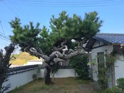 妙楽寺(和歌山県)