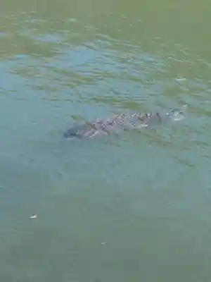 赤城神社(群馬県)
