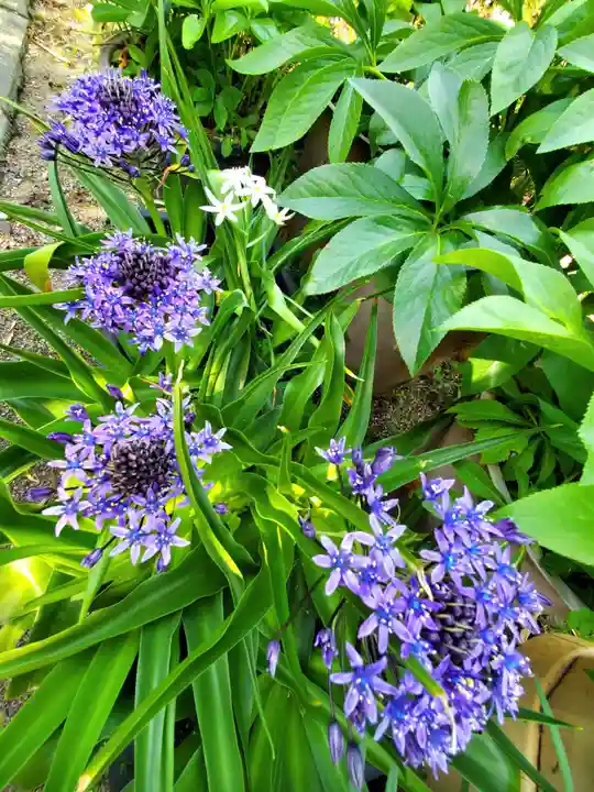 豊景神社(福島県)