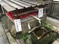 市比賣神社(京都府)