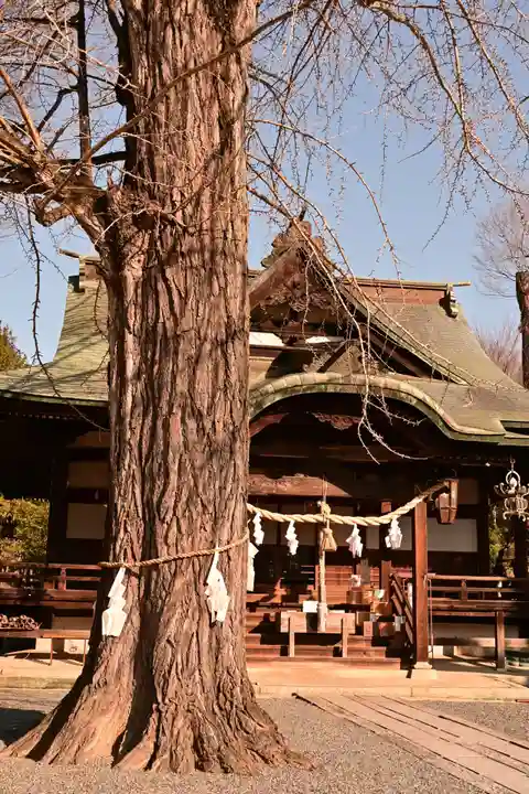 賀羅加波神社(広島県)