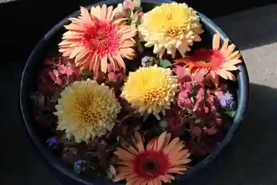 豊景神社の手水舎