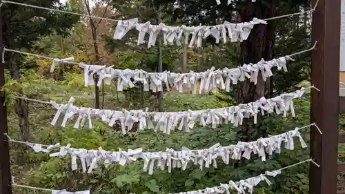 大正神社のおみくじ