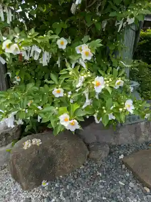 明智寺(埼玉県)