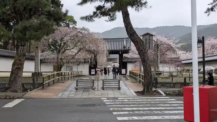 醍醐寺(京都府)