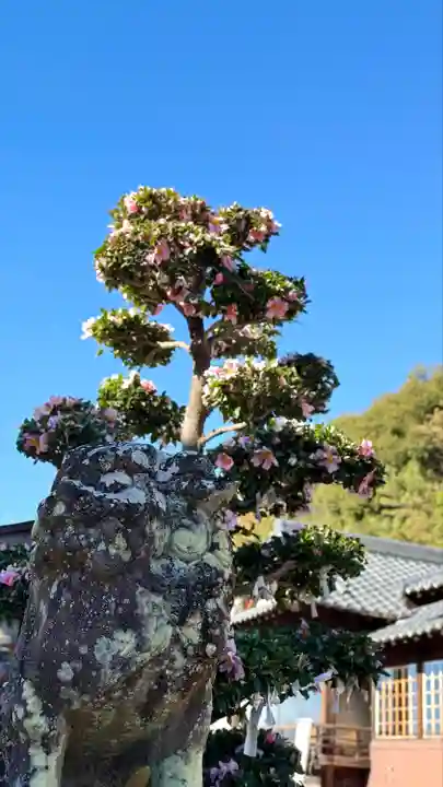 加佐美神社(岐阜県)