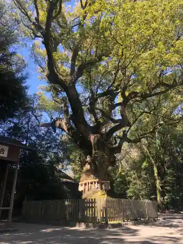 熱田神宮の御朱印