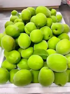 當光寺(東京都)(2025年05月22日(木) 21時58分25秒投稿)