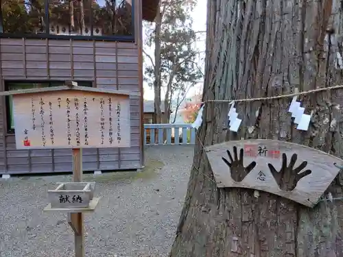 熊野神社(岩手県)