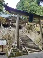 玉置神社の{uncategorized: "未分類", other: "その他", undefined: "問題あり", building: "その他建物", grave: "お墓", sacred_gate: "鳥居", guardian: "狛犬", statue: "像", buddha: "仏像", history: "歴史", nature: "自然", garden: "庭園", animal: "動物", pagoda: "塔", temizu: "手水舎", mountain_gate: "山門・神門", sanctuary: "本殿・本堂", subordinate: "末社・摂社", art: "芸術", scenery: "景色", jizo: "地蔵", ema: "絵馬", goshuin: "御朱印", omikuji: "おみくじ", items: "授与品その他", amulet: "お守り", goshuincho: "御朱印帳", eats: "食事", festival: "お祭り", votive_dance: "神楽", shichigosan: "七五三参", wedding: "結婚式", experience: "体験その他", initially: "初詣", around: "周辺", anti_infection: "感染症対策"}