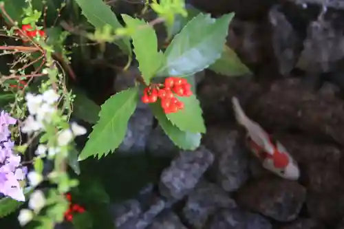 滑川神社 - 仕事と子どもの守り神の手水舎