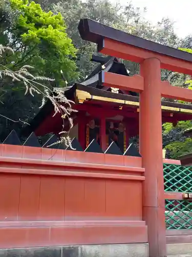 春日大社 若宮（春日若宮）(奈良県)