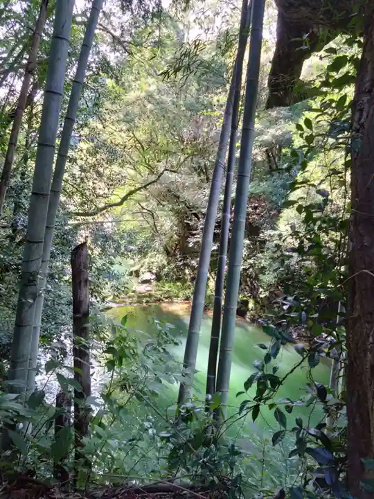 神龍八大龍王神社の周辺