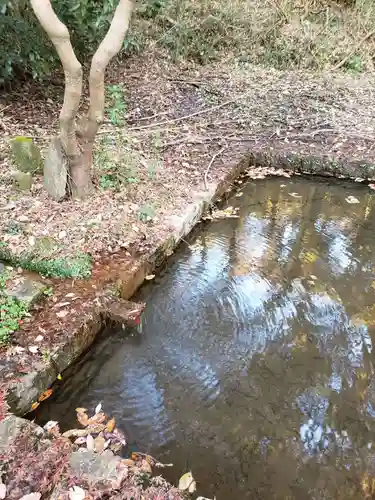 猿田神社の庭園