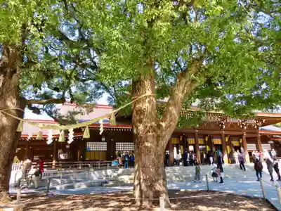 明治神宮の本殿・本堂