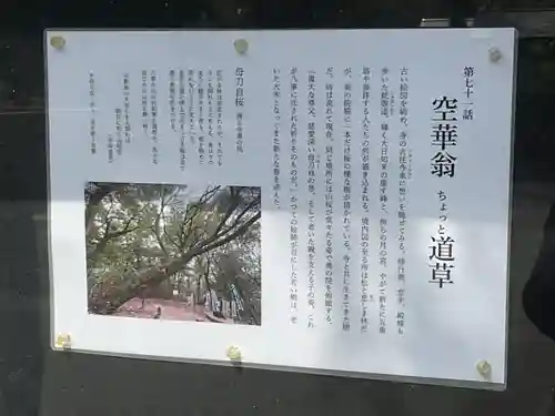 八事山 興正寺(愛知県)