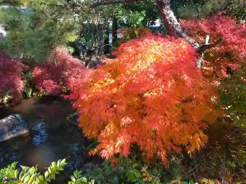 寿量山　速成寺(奈良県)