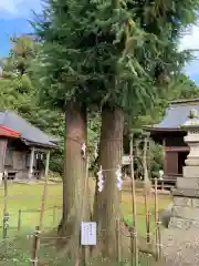 長沼八幡宮の自然