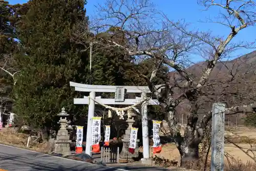 高司神社〜むすびの神の鎮まる社〜の鳥居