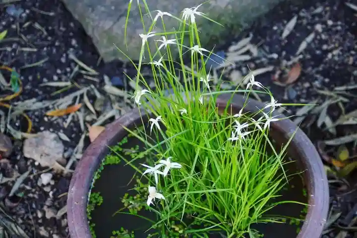 東海市熊野神社のその他建物