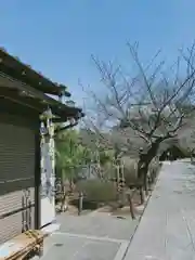 建長寺の建物その他