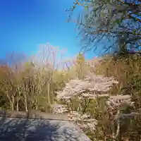 壽徳寺 じゅとくじの自然