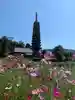 般若寺 ❁コスモス寺❁の塔