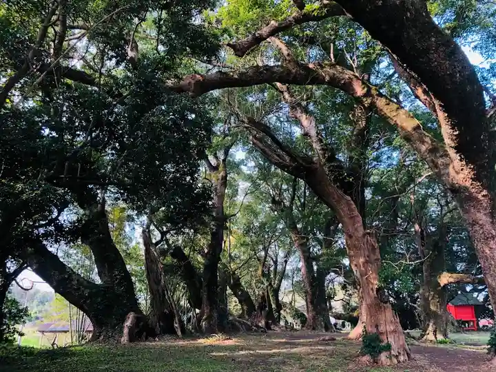 大汝牟遅神社の自然