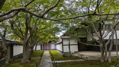 黄梅院(京都府)