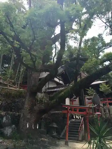 瓢箪山稲荷神社の自然