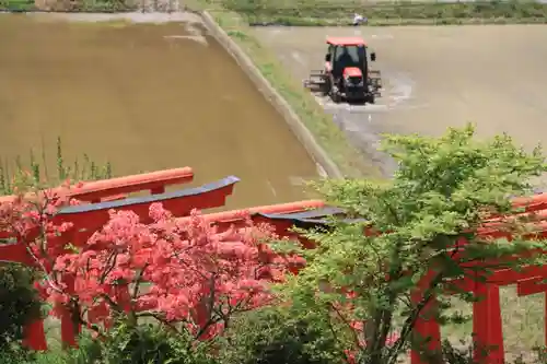 高屋敷稲荷神社の景色