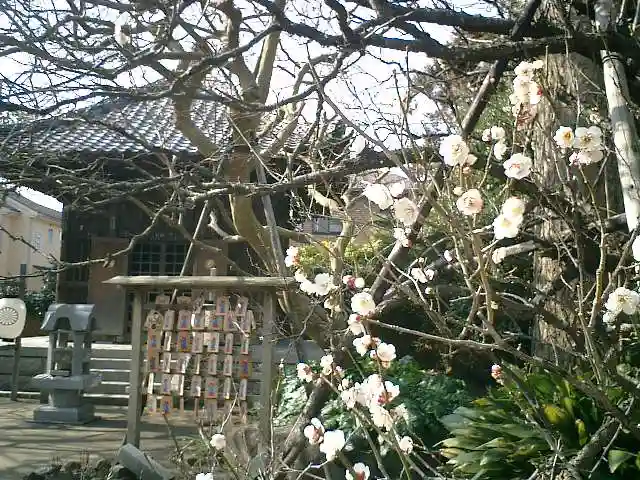 宝戒寺の本殿・本堂